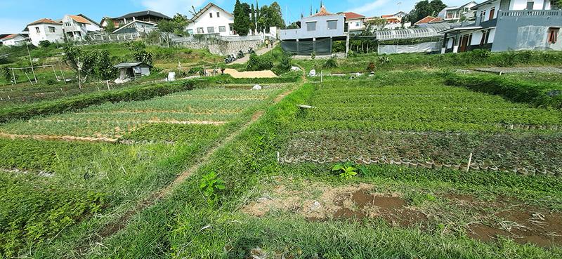 Dijual Tanah Kawasan Hunian dan Komersil di Cihideung Lembang Bandung - Luas 1739 m2, SHM