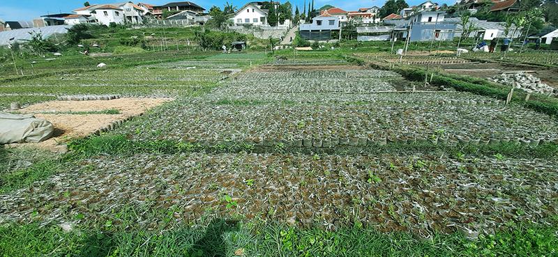 Jual Tanah Kawasan Hunian dan Komersil di Cihideung Lembang Bandung - Luas 1739 m2, SHM