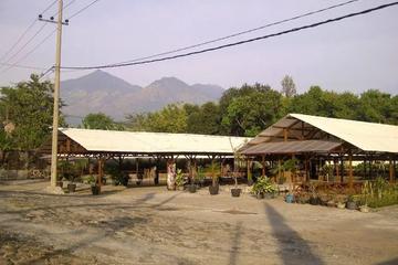 Dijual Tempat Usaha dan Lahan di Raya Taman Safari Pasuruan