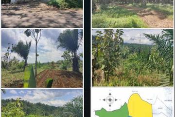 Jual Tanah Perkebunan Sangat Luas di Pangkalan Cikidang Sukabumi