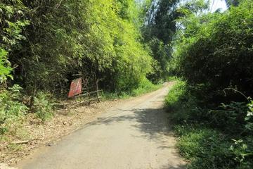 Jual Tanah Luas Murah di Kawasan Lokapaksa Buleleng Bali - 16000 m2 SHM