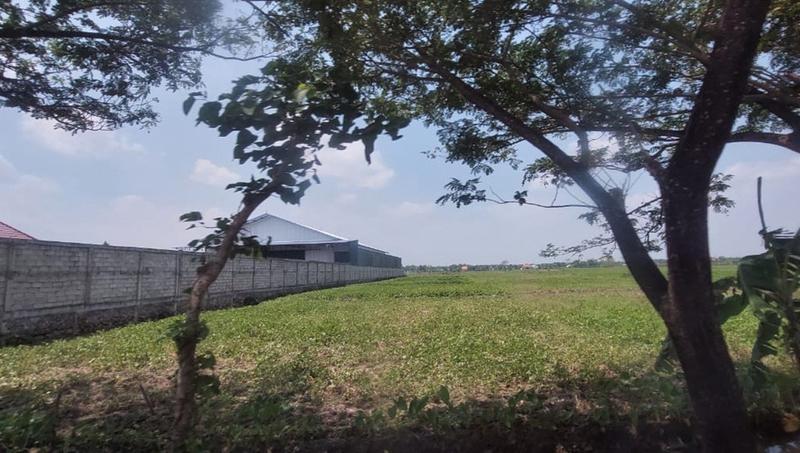 Jual Tanah Kosong Luas 2.2 Hektar SHM di Plesungan Bojonegoro - Siap Bangun