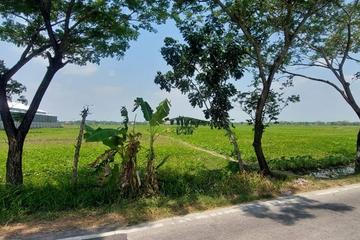 Jual Tanah Kosong Luas 2.2 Hektar SHM di Plesungan Bojonegoro - Siap Bangun