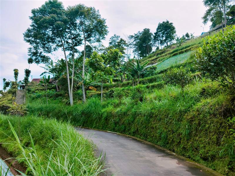 Dijual Tanah Idaman Luas 483m2 SHM dekat Tempat Wisata Ngargoyoso Karanganyar