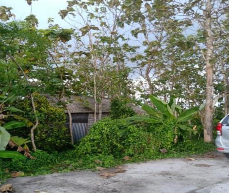 Jual Tanah Kebun Luas 2150 m2 SHM di Jalan Raya Denpasar Gilimanuk Tabanan Bali