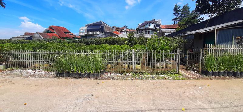 Jual Tanah Kavling Strawberry Sayap Sersan Bajuri Bandung - Luas Tanah 1300m2 SHM