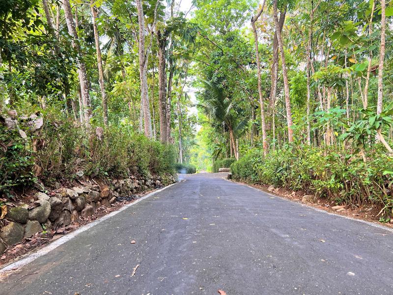 Dijual Tanah Super Datar SHM 1028m2 Hanya 250 Juta di Mojogedang Karanganyar
