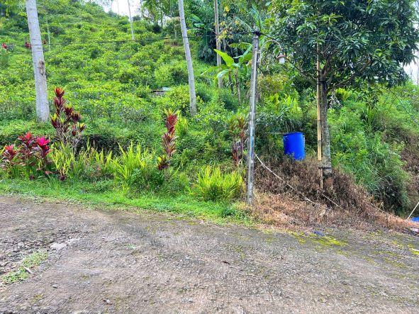 Jual Tanah Samping Kebun Teh di Kemuning Karanganyar - Luas Tanah 658 m2 SHM Pekarangan