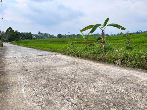 Dijual Tanah SHM 300m2 Cocok Dibangun Resto dan Villa di Karangpandan Karanganyar