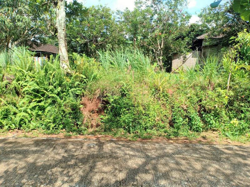Dijual Tanah SHM 600m2 Hanya 200 Juta di Mojogedang Karanganyar