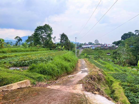 Jual Tanah 2100m2 SHM di Jl. Raya Kemuning Ngargoyoso Karanganyar