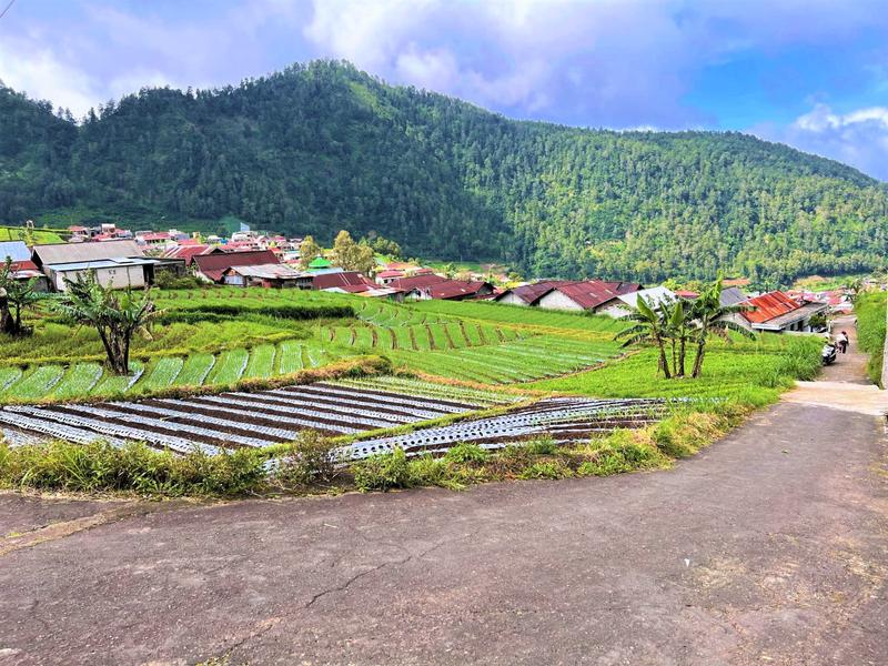 Jual Tanah Cocok Dibangun Villa di Gondosuli Tawangmangu Karanganyar - Luas Tanah 206 m2 SHM Pekarangan