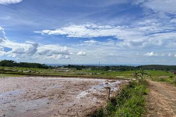 Jual Tanah SHM Pekarangan dekat Sungai Kerjo Karanganyar - Luas Tanah 132 m2, Harga 65 Juta
