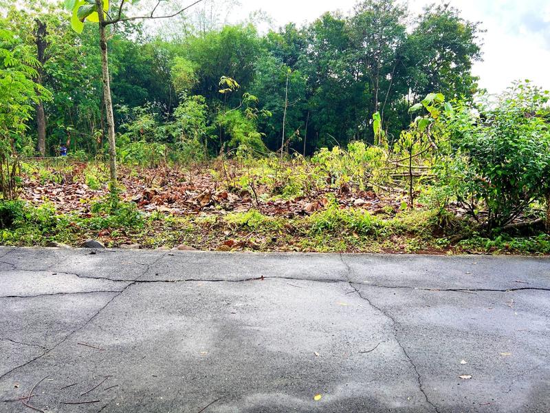 Dijual Tanah Kebun Jati 276m2 Cocok Dibangun Homestay di Timur Pasar Jambangan, Mojogedang, Karanganyar