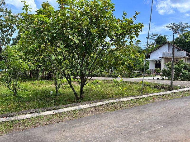Dijual Tanah Bonus Kebun Buah di Kerjo Karanganyar - Luas 128m2, SHM Pekarangan