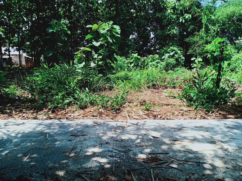 Jual Cepat Tanah Super Datar di Bendungan Kedawung Sragen Jawa Tengah - Luas 494m2 SHM Pekarangan