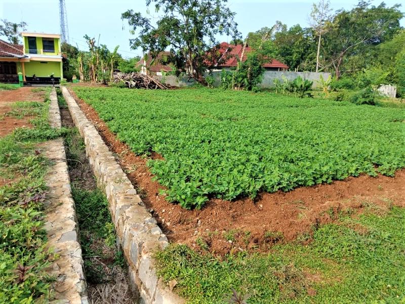 Jual Tanah dekat Fasilitas Umum di Kerjo Karanganyar Jawa Tengah - Luas 234m2 SHM Hanya 150 Juta