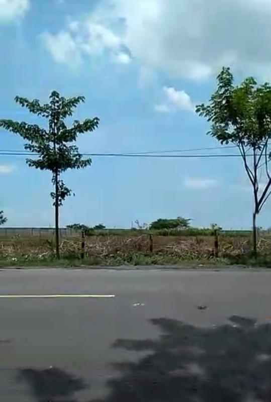 Jual Tanah Sangat Luas Cocok untuk Industri di Widang Tuban Jawa Timur - Luas 4 Hektar