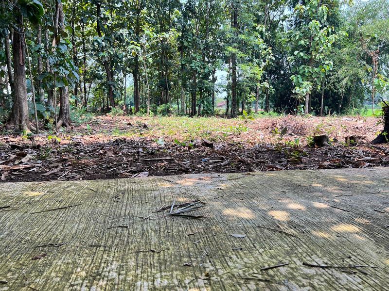 Jual Cepat Tanah Super Datar di Bendungan Kedawung Sragen Jawa Tengah - Luas 494m2 SHM Pekarangan