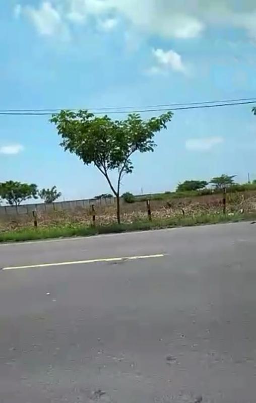 Jual Tanah Sangat Luas Cocok untuk Industri di Widang Tuban Jawa Timur - Luas 4 Hektar