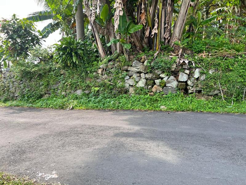Jual Tanah di Karangpandan Karanganyar - Luas 176m², Udara Dingin