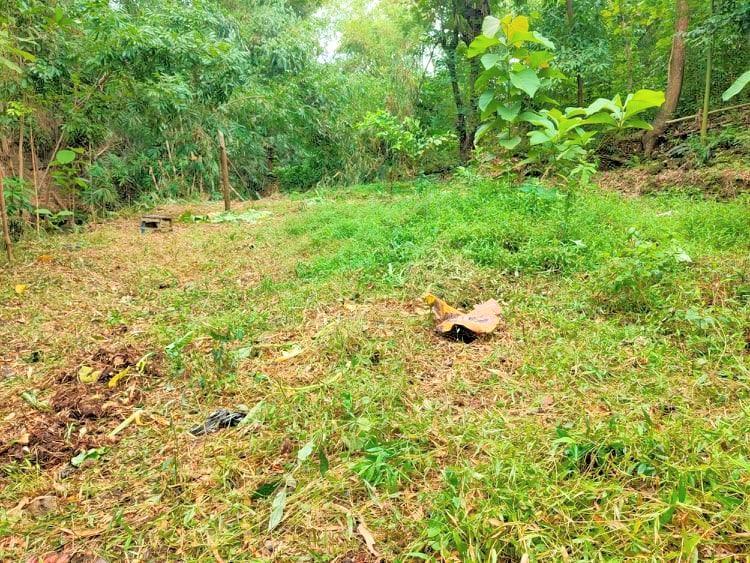 Jual Tanah 45 Juta di Kedawung Sragen - Luas 407m2