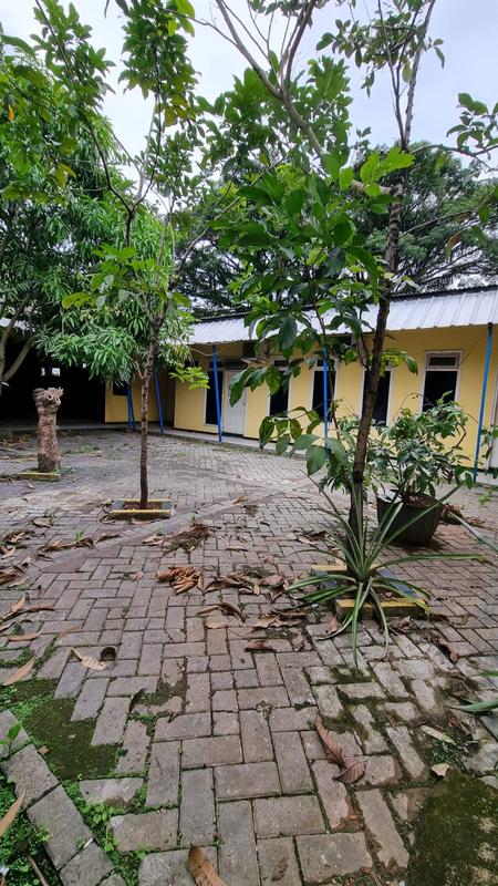 Tampak belakang dalam
