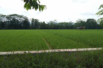 Tanah Dijual untuk Usaha, Cluster, atau Gudang di Pinggir Jalan Kartini Subang - Luas 4620m2 SHM