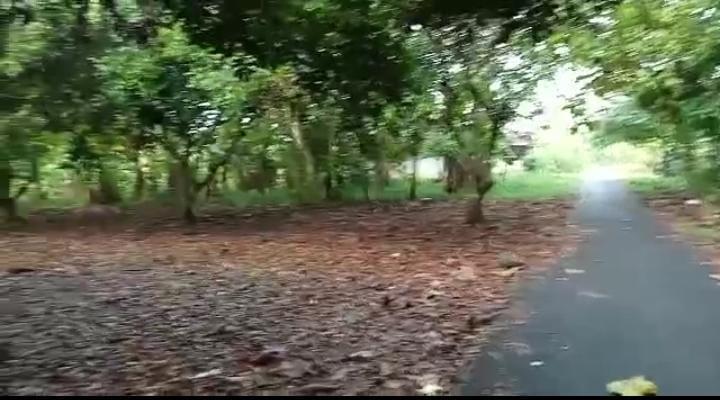 Jual Tanah Kavling untuk Rumah atau Gudang dekat Jalan Kartini Subang - Luas 1078m2 SHM
