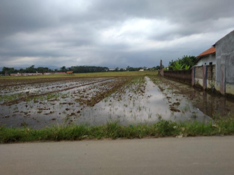 Jual Tanah Pinggir Jalan Belendung Subang Jawa Barat untuk Rumah Usaha atau Gudang - Luas 910m2 SHM