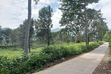 Jual Tanah Kebun Teh SHM di Daerah Tugu Selatan Puncak Bogor - Luas 12.000m2