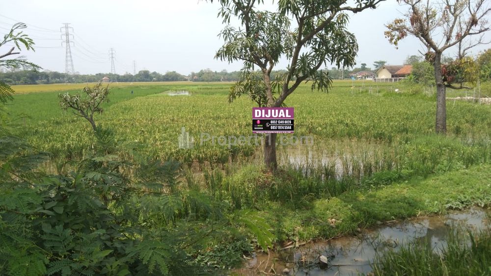 Dijual Tanah Strategis Pinggir Jalan Widasari Indramayu - Cocok untuk Usaha atau Gudang