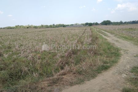 Dijual Tanah Pinggir Jalan Desa Mekarjaya Blok Cibanoang Indramayu - Cocok Peruntukan Kandang Ayam