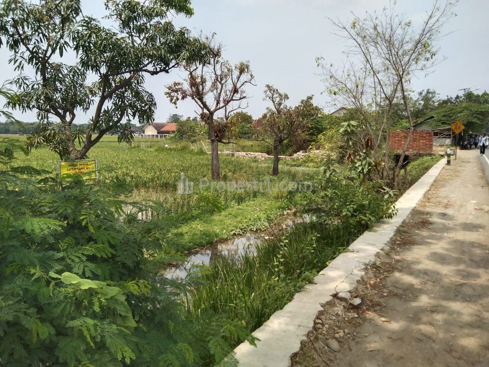 Dijual Tanah Strategis Pinggir Jalan Widasari Indramayu - Cocok untuk Usaha atau Gudang