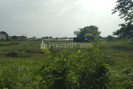 Tanah Dijual untuk Indutri di Kawasan Jalan Pantura Losarang Indramayu