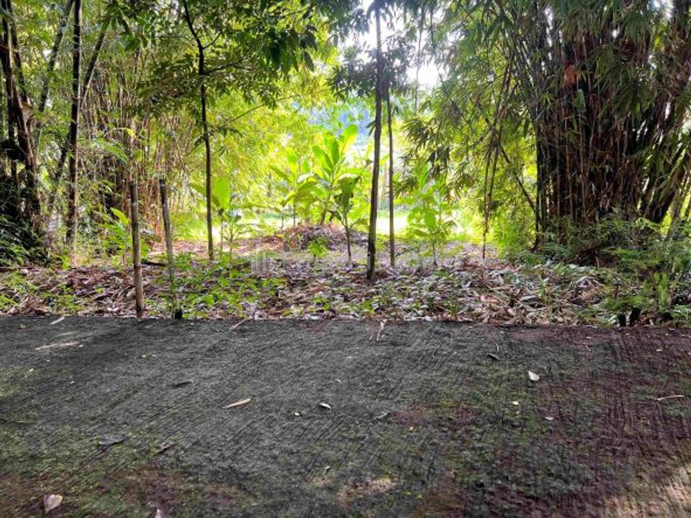 Dijual Tanah Hanya 175 Juta di Mojogedang Karanganyar - Luas 815m2 SHM