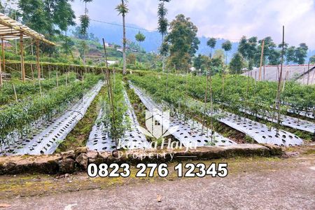 Dijual Tanah Datar 600m² SHM di Kemuning Karanganyar - Udara Dingin, Asri, View Perbukitan