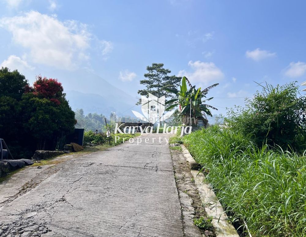 Dijual Tanah 3600m² Kemuning Ngargoyoso Karanganyar