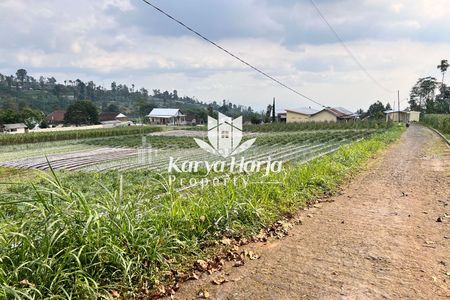 Dijual Tanah 2200m2 Dikelilingi Kebun Teh Kemuning, Karanganyar, Jawa Tengah