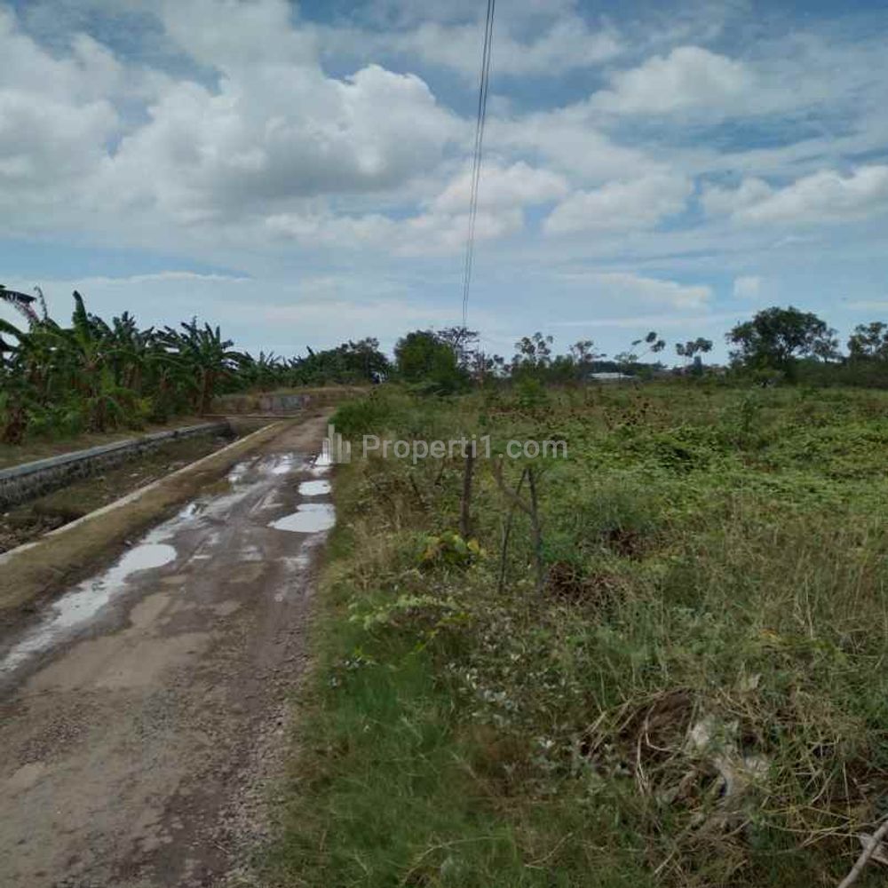 Dijual Tanah Strategis Bangun Gudang dekat Jalan Pantura Losarang Indramayu