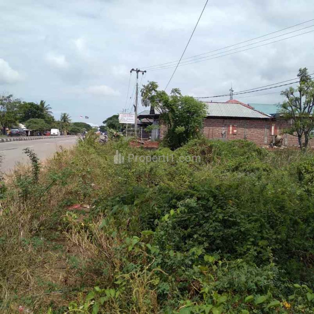 Dijual Tanah Strategis Bangun Gudang dekat Jalan Pantura Losarang Indramayu
