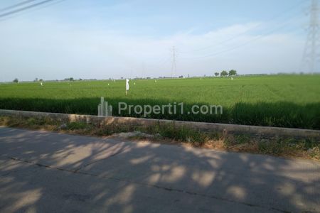 Dijual Tanah untuk Usaha atau Gudang di Pinggir Jalan Compreng Pusakajaya dekat Pelabuhan Patimban Subang Jawa Barat