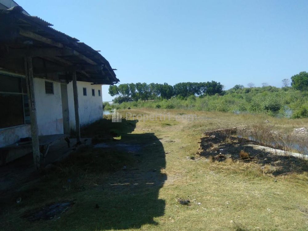 Jual Tanah Sangat Luas Strategis di Desa Seletreng, Kapongan, Situbondo