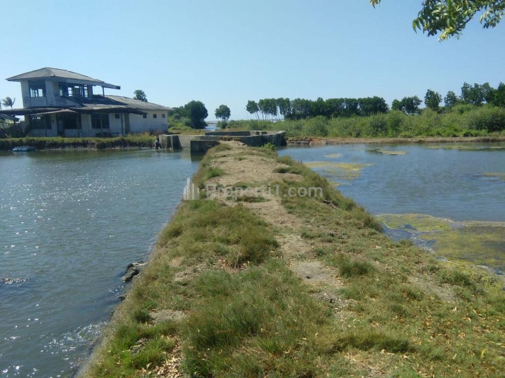 Jual Tanah Sangat Luas Strategis di Desa Seletreng, Kapongan, Situbondo