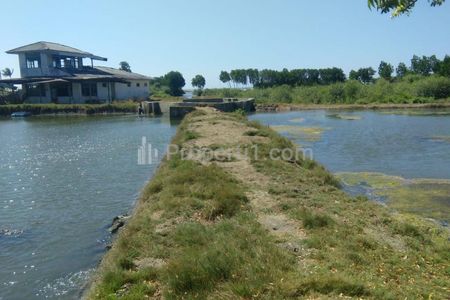Jual Tanah Sangat Luas Strategis di Desa Seletreng, Kapongan, Situbondo