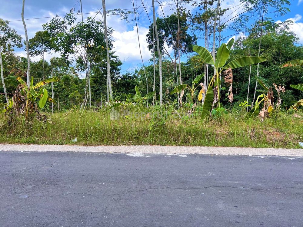 Jual Tanah Datar 1 Hektar di Karangpandan Karanganyar - Bonus Kebun Durian