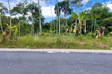 Jual Tanah Datar 1 Hektar di Karangpandan Karanganyar - Bonus Kebun Durian