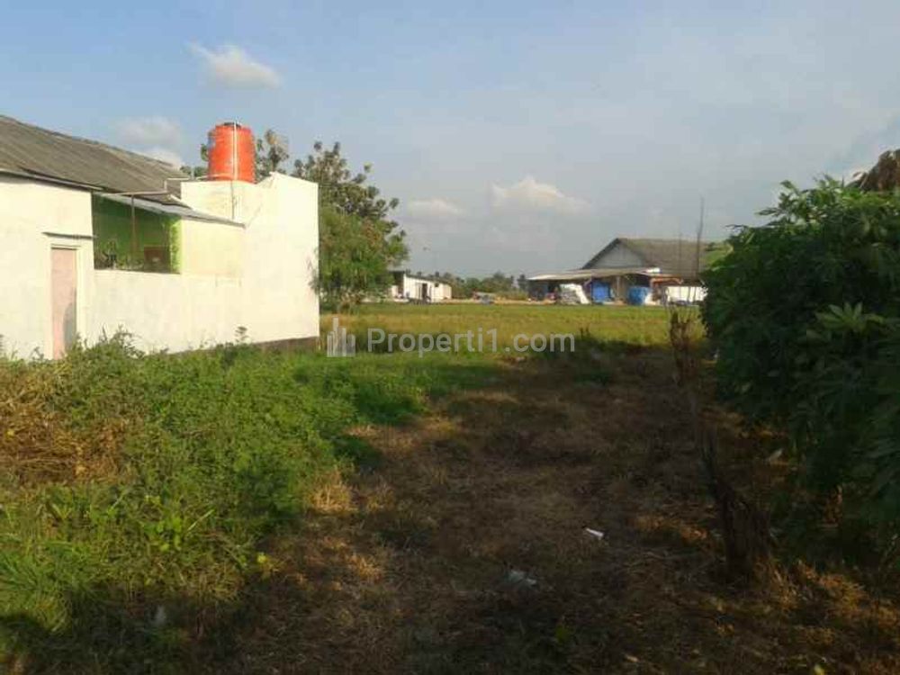 Jual Tanah untuk Bangun Gudang atau Ruang Usaha di Pinggir Jalan Raya Gabuswetan Kandanghaur Indramayu