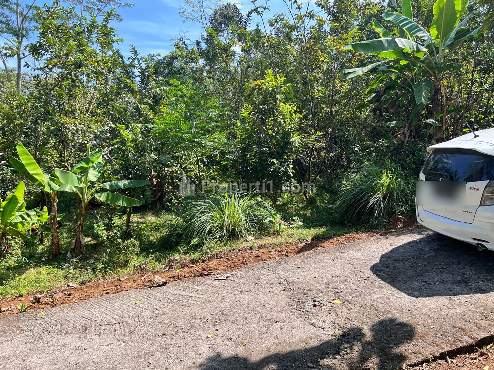 Dijual Tanah Kebun Jambu 1000m² 200Jt di Ngargoyoso Karanganyar