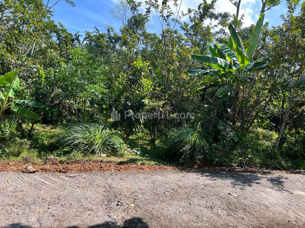 Dijual Tanah Kebun Jambu 1000m² 200Jt di Ngargoyoso Karanganyar